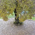 L'escale En Ubaye 3*