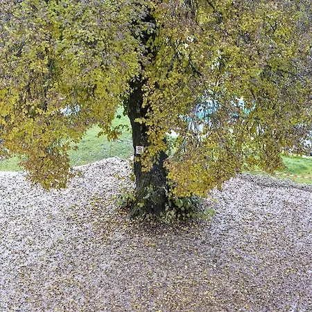 L'escale En Ubaye *