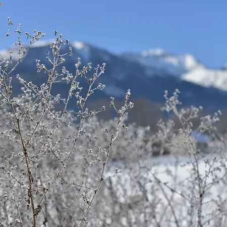 Bed & Breakfast L'escale En Ubaye Saint-Pons (Alpes-de-Haute-Provence)