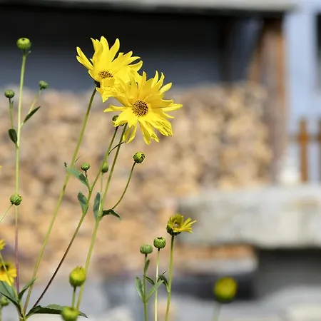 L'escale En Ubaye Bed & Breakfast Saint-Pons (Alpes-de-Haute-Provence)
