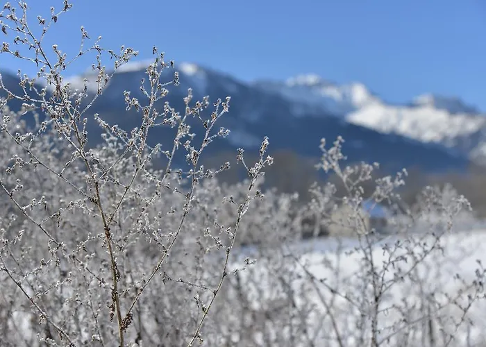 Couette-café L'escale En Ubaye Saint-Pons (Alpes-de-Haute-Provence)