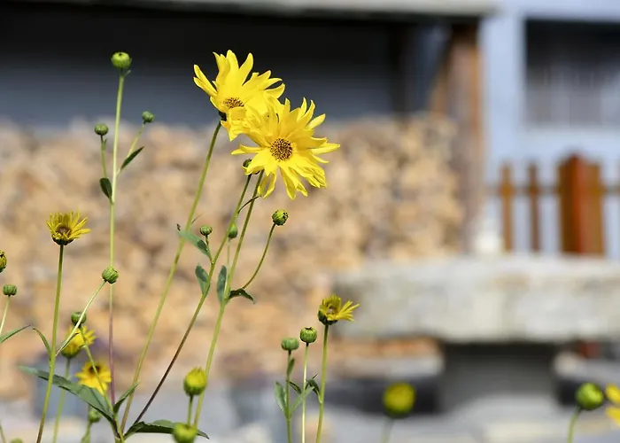 L'escale En Ubaye Couette-café Saint-Pons (Alpes-de-Haute-Provence)